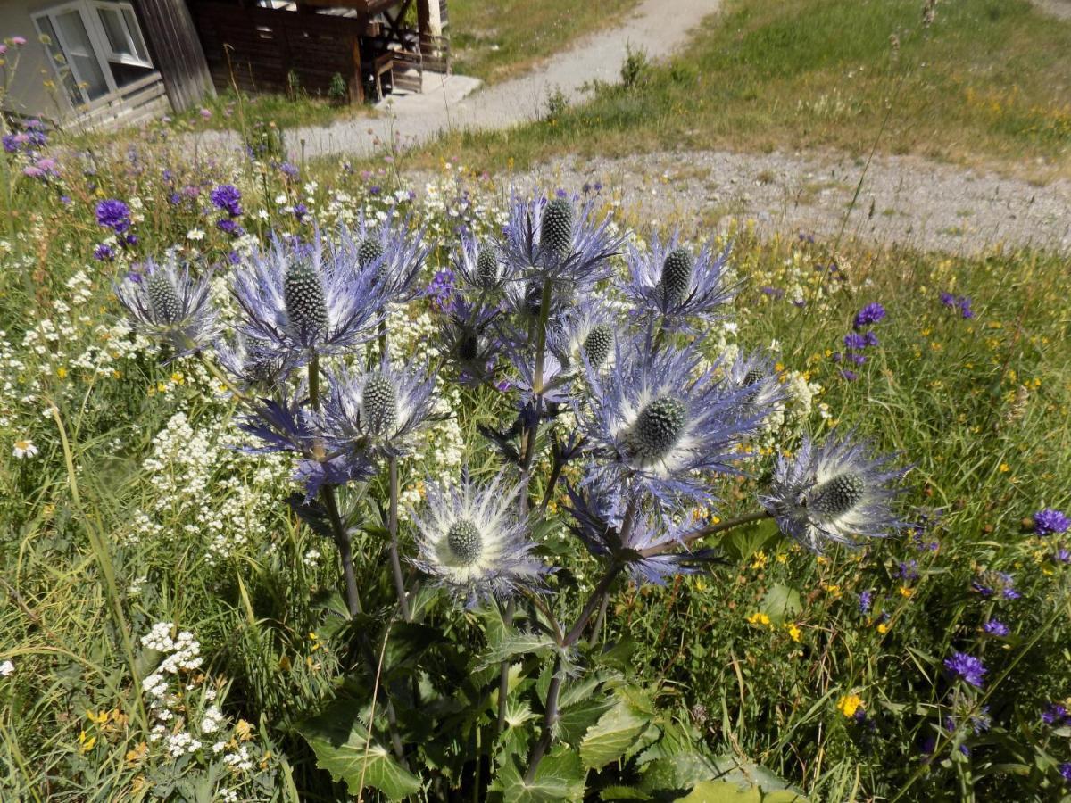 Appart 4 P Pied Des Pistes Risoul 1850 Luaran gambar